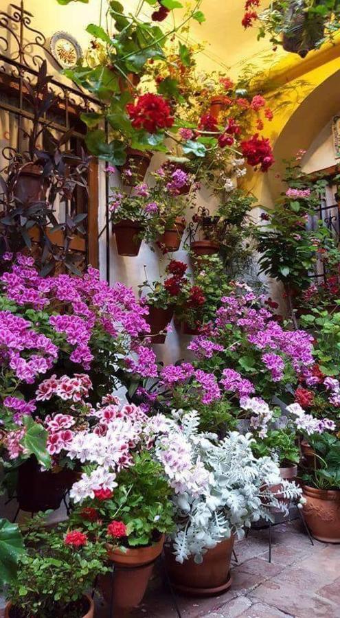 Centro Cordoba Διαμέρισμα Δωμάτιο φωτογραφία